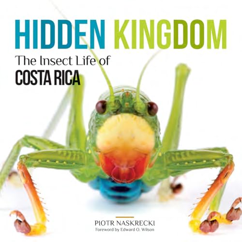Hidden Kingdom: The Insect Life of Costa Rica (Zona Tropical Publications) von Comstock Publishing